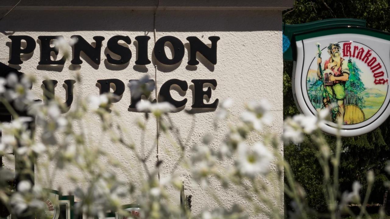 Pension U Pece Пец-под-Снежкой Экстерьер фото